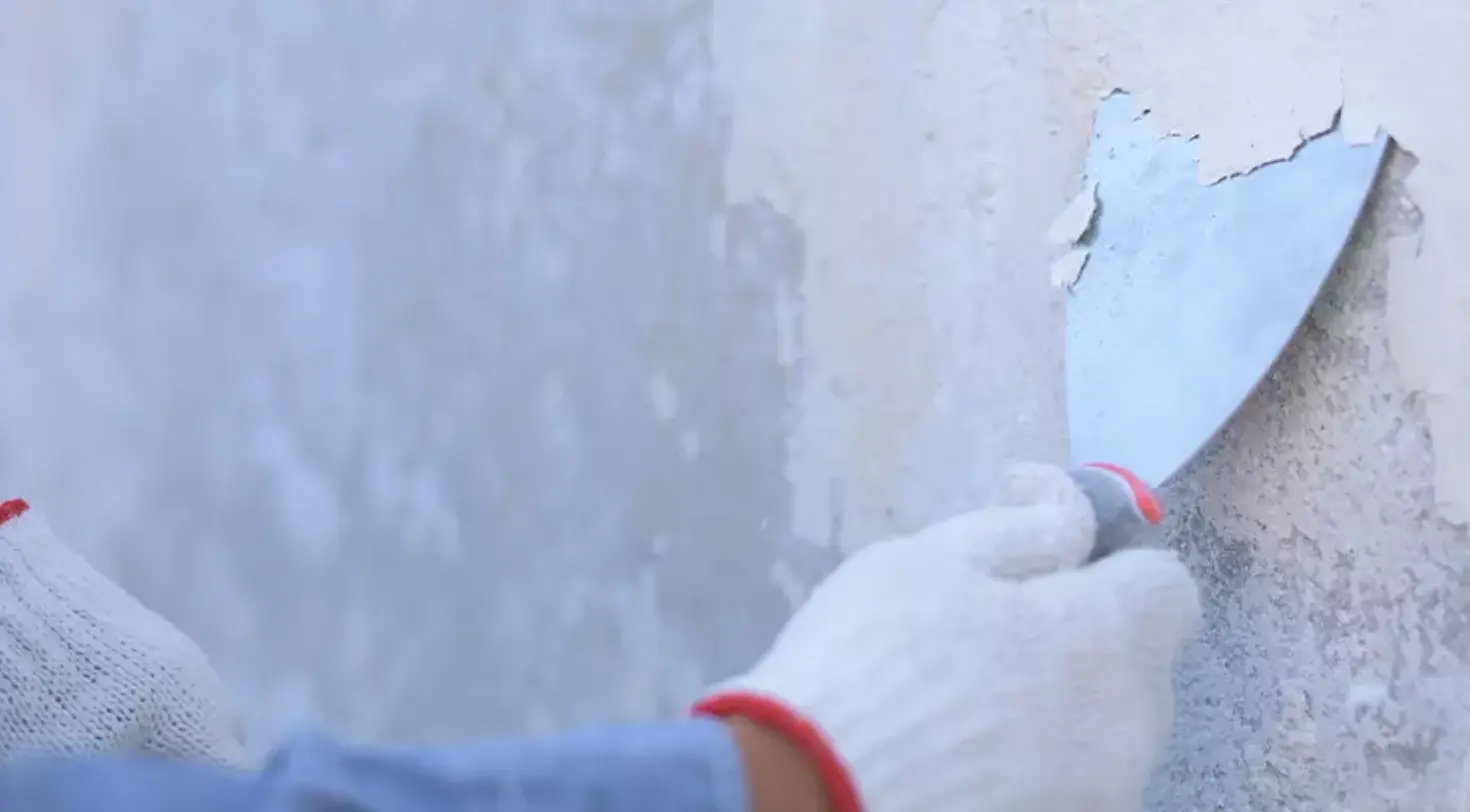 Sakarni Magna Glow Interior Emulsion: How to Choose the Right Paint for Beautiful Interior Walls?